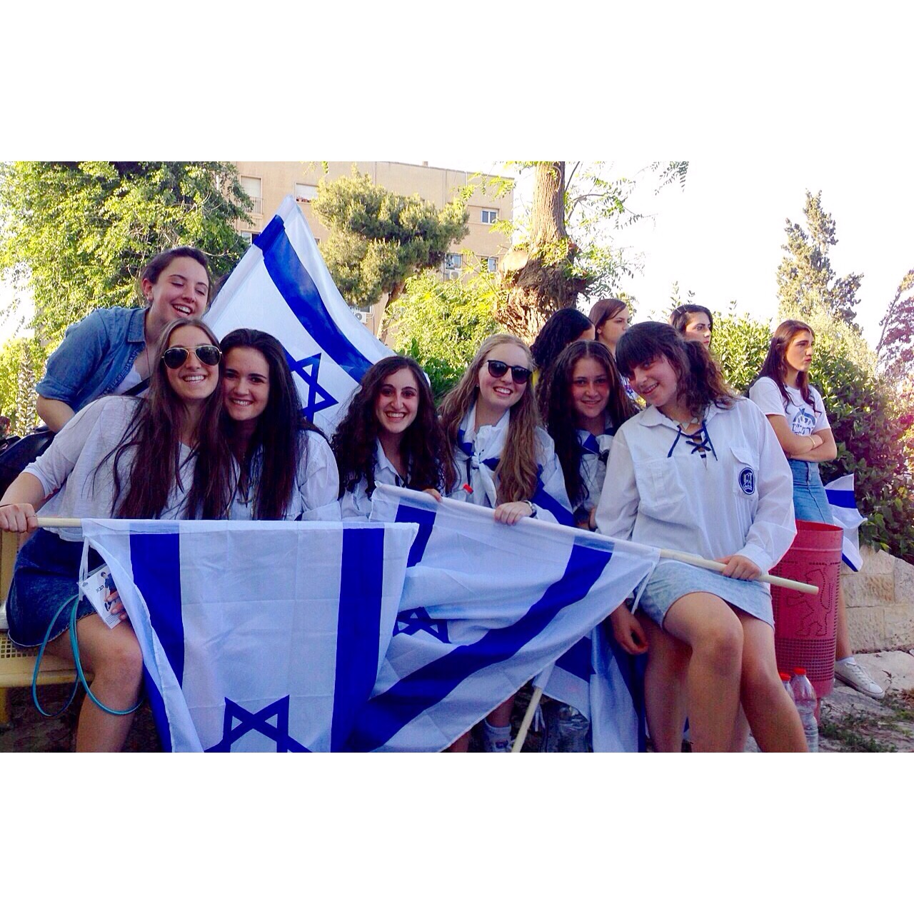 friends with Israeli flags